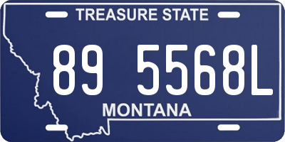 MT license plate 895568L