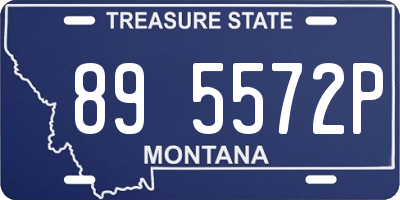 MT license plate 895572P