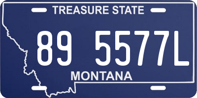 MT license plate 895577L