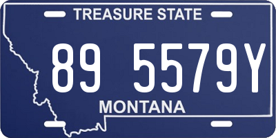 MT license plate 895579Y