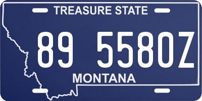 MT license plate 895580Z