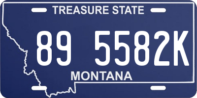 MT license plate 895582K