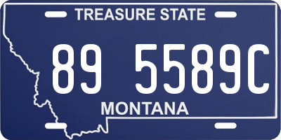 MT license plate 895589C