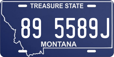 MT license plate 895589J