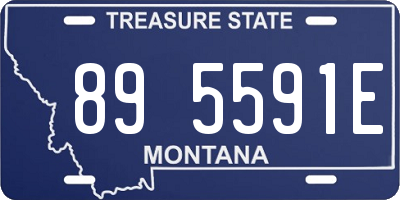 MT license plate 895591E