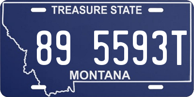 MT license plate 895593T