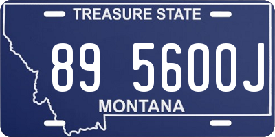 MT license plate 895600J