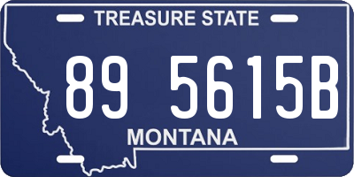 MT license plate 895615B