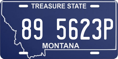 MT license plate 895623P