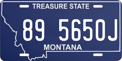 MT license plate 895650J