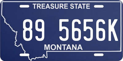 MT license plate 895656K