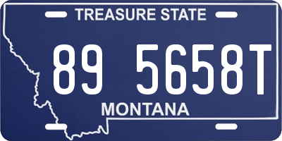 MT license plate 895658T