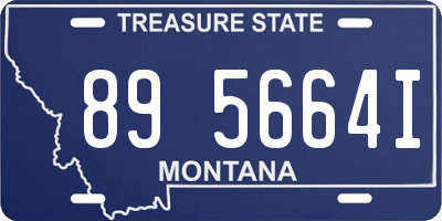 MT license plate 895664I