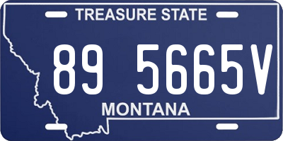 MT license plate 895665V