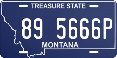MT license plate 895666P