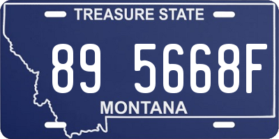 MT license plate 895668F