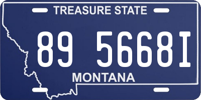 MT license plate 895668I