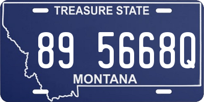 MT license plate 895668Q