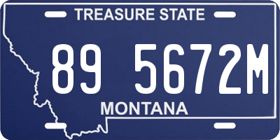MT license plate 895672M
