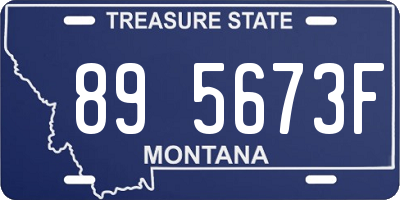 MT license plate 895673F