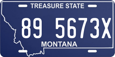 MT license plate 895673X