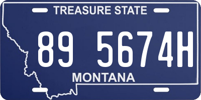 MT license plate 895674H
