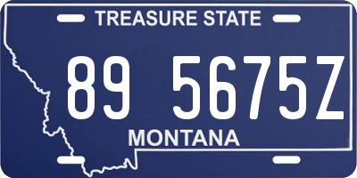 MT license plate 895675Z