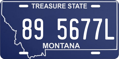MT license plate 895677L
