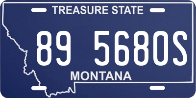 MT license plate 895680S