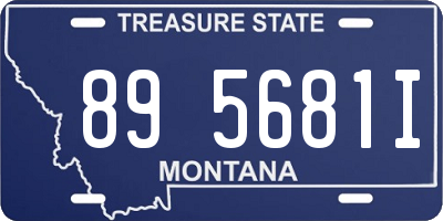 MT license plate 895681I