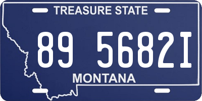 MT license plate 895682I