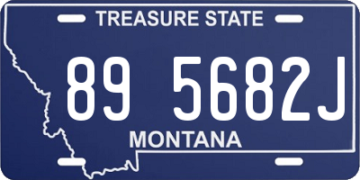 MT license plate 895682J