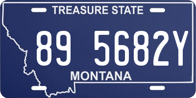 MT license plate 895682Y