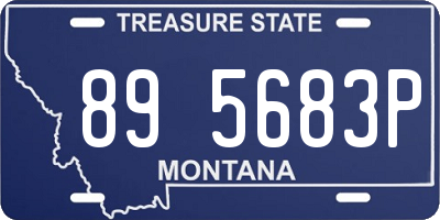 MT license plate 895683P