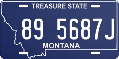 MT license plate 895687J