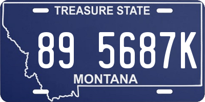 MT license plate 895687K