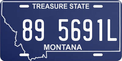 MT license plate 895691L