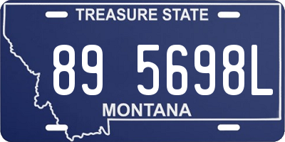 MT license plate 895698L