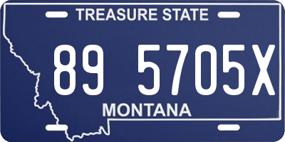 MT license plate 895705X