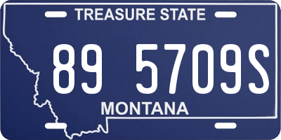 MT license plate 895709S