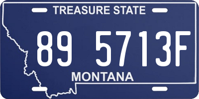 MT license plate 895713F