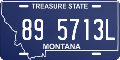 MT license plate 895713L