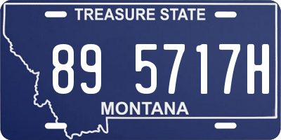 MT license plate 895717H