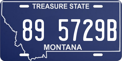 MT license plate 895729B