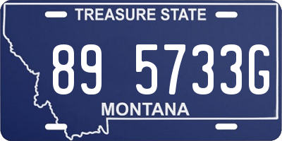 MT license plate 895733G