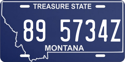 MT license plate 895734Z