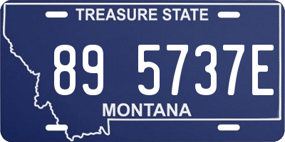 MT license plate 895737E