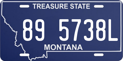 MT license plate 895738L