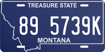 MT license plate 895739K
