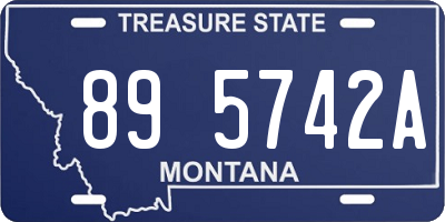 MT license plate 895742A